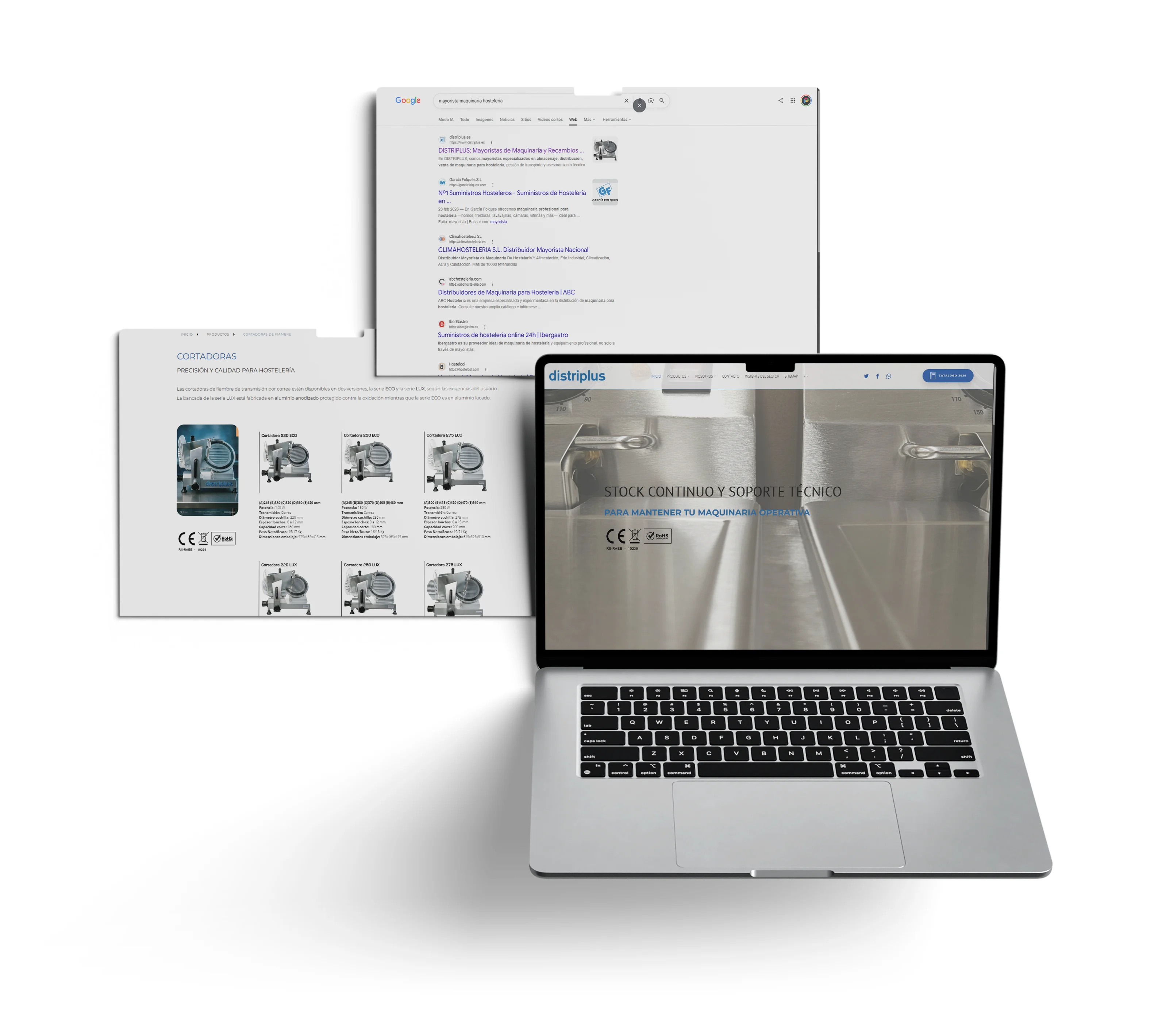 Mockup del proyecto web de Distriplus.