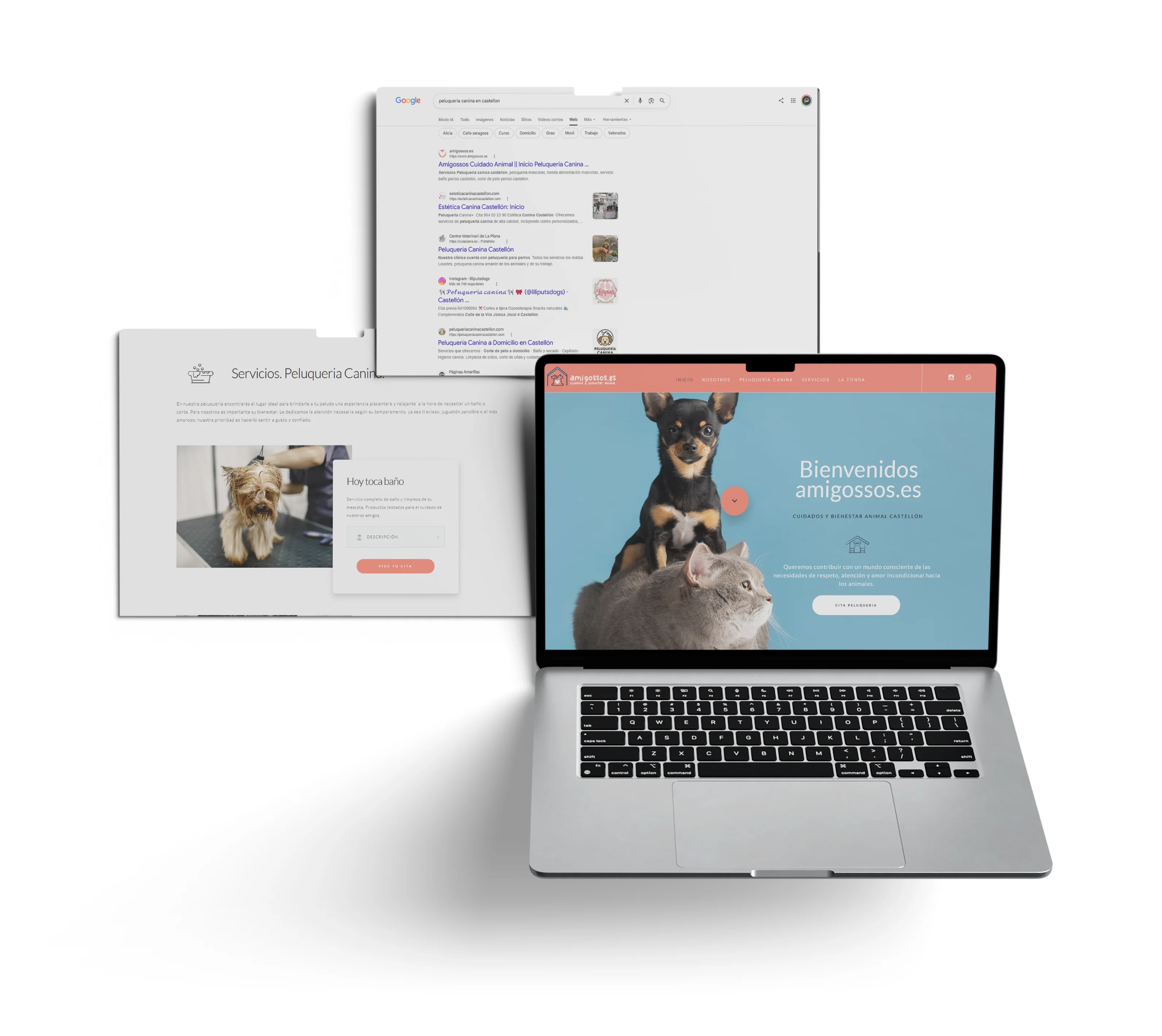 Mockup del proyecto web de Amigossos.